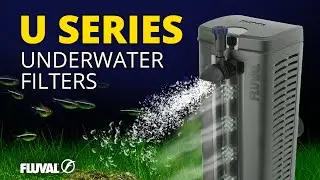Fluval U Series | Unsurpassed Underwater Filtration