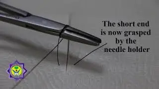 Basic  Suturing Skills & Techniques in Periodontal surgery ( 2 - knot tying)