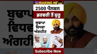 2500 ਬੁਢਾਪਾ ਪੈਨਸ਼ਨ , #2500pension #pensionscheme #pension #shorts #reels #news