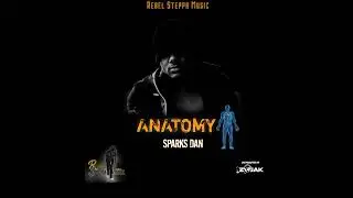 Sparks Dan - Anatomy ( Official Audio )