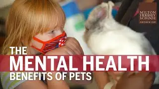 How Pets Teach Responsibility and Promote Wellness&mdash;Milton Hershey School