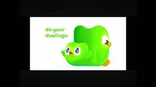 duolingo what