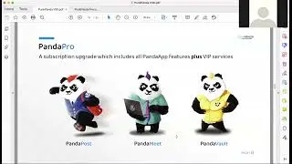 PunkPanda Presentation - October 2021
