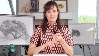 November 2020 Giveaway: Free Membership to the LZM Drawing Method, November 2020