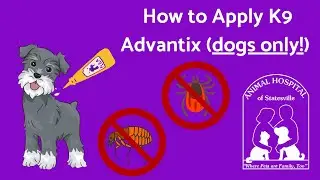 Как применять K9 Advantix только для собак