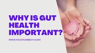 The Radiant Gut Health Series What is gut health and why is it so important || Dr. Beata Harasim