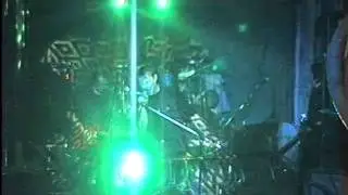 The Methylated Spirits live im Eimer