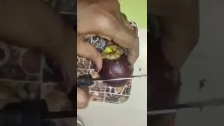 #Queen fruit cutting #mangosteen