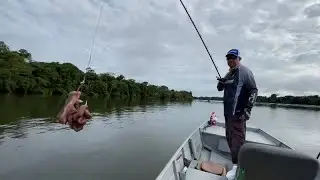 PESQUEI COM A ISCA MAIS RAIZ QUE EXISTE NO MUNDO! pescaria