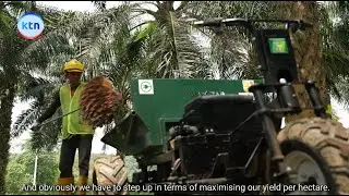 The Future of Malaysian Palm Oil