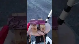 Lichtenberg on Purpleheart