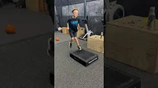 Ninja Step Ups