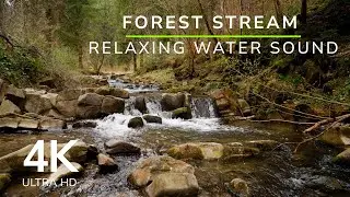 Forest Stream in Spring - Relaxing Water Sound | 4K ASMR |