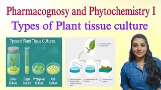 Types of Culture and Requirements for Plant Tissue Culture Laboratory| Pharmacognosy1| BPharm 4thsem