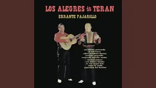 Mi Borrachera