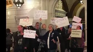 Sen.-elect Lindsey Williams&rsquo; supporters call for her to be seated