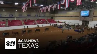 Fort Worth Stock Show and Rodeo open normal hours despite winter storm