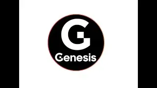 GENESIS GLOBAL CAPITAL | GROUP 55 | FIN 2024