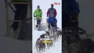 Top 10 thrilling travel experiences