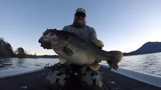 Clear Lake Fishing Report Jan 21 2026