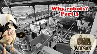 WHY ROBOTS? PART 3
