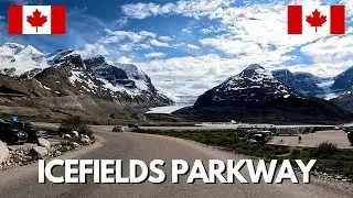 4K Scenic Drive on Icefields Parkway 🇨🇦 | Summer Road Trip on Highway 93 Canada