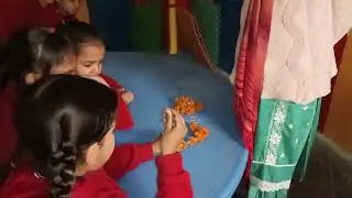 Activity 23