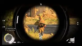 Sniper Elite 3 nut shot