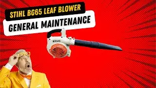 How to Fix & Maintain a STIHL BG65 Leaf Blower | Step-by-Step Repair Guide