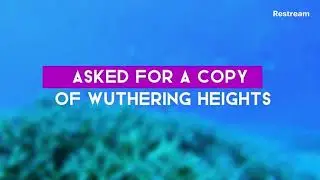 Stream Compilation of Stories About Wives Cheating on Men Over 65+