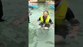 Discovery cove 2026 Orlando Florida part 1……..tbc 