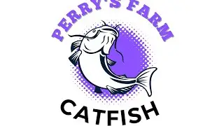 Feeding my Catfish Fingerlings