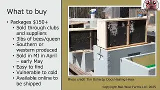 Lecture 4: Bee Calm Bee Well: Purchasing Bees Lecture