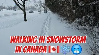 Walking through the snowstorm in Toronto, Canada