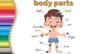 Body Parts and Their Names for Kids | Learn Human Body Parts with Drawing & Coloring