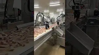 How Made Madicines with bones #factory #factoryprocess
