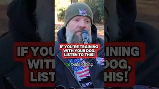 Training Your Dog? Listen to this! #dogs