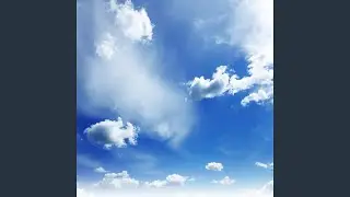 Grey Peacesand