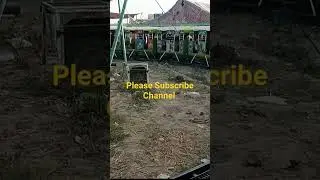 Short #video best gari Tez gam express 😄😄😄