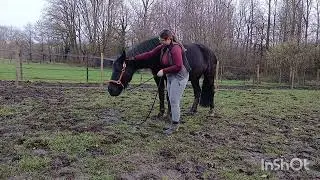 Cavalance: craniosacrale behandeling