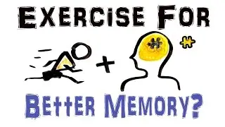 Can EXERCISE Make You Smarter?