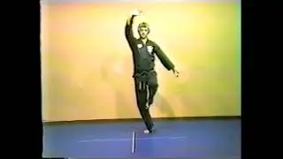 American Kenpo Stance Set 2