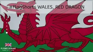 Wales Red Dragon 🏴󠁧󠁢󠁷󠁬󠁳󠁿 Flag | Shorts