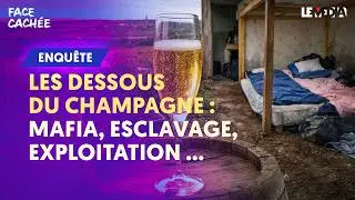 ENQUÊTE SUR LE CHAMPAGNE : L’ENVERS DU LUXE, CE QUE CACHENT VRAIMENT LES BULLES