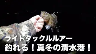 【清水港】釣れる！真冬のライトタックルルアーフィッシング！