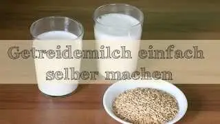 Getreidemilch selbermachen