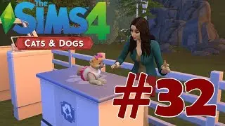 Hasta Milan | The Sims 4 Cats & Dogs #32