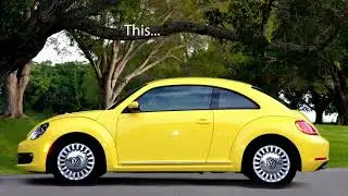 Yellow Beetle by Kenneth Snyder