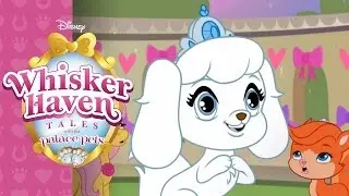 Whisker Haven Tales with Palace Pets Season 1 Ep 8 Cinderella's Pet Pumpkin Disney Junior
