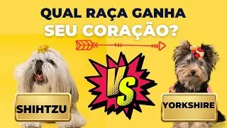 Descubra Qual Raça Combina com Você: Yorkshire Terrier vs. Shih Tzu #cães #yorkie #shitzu #dog